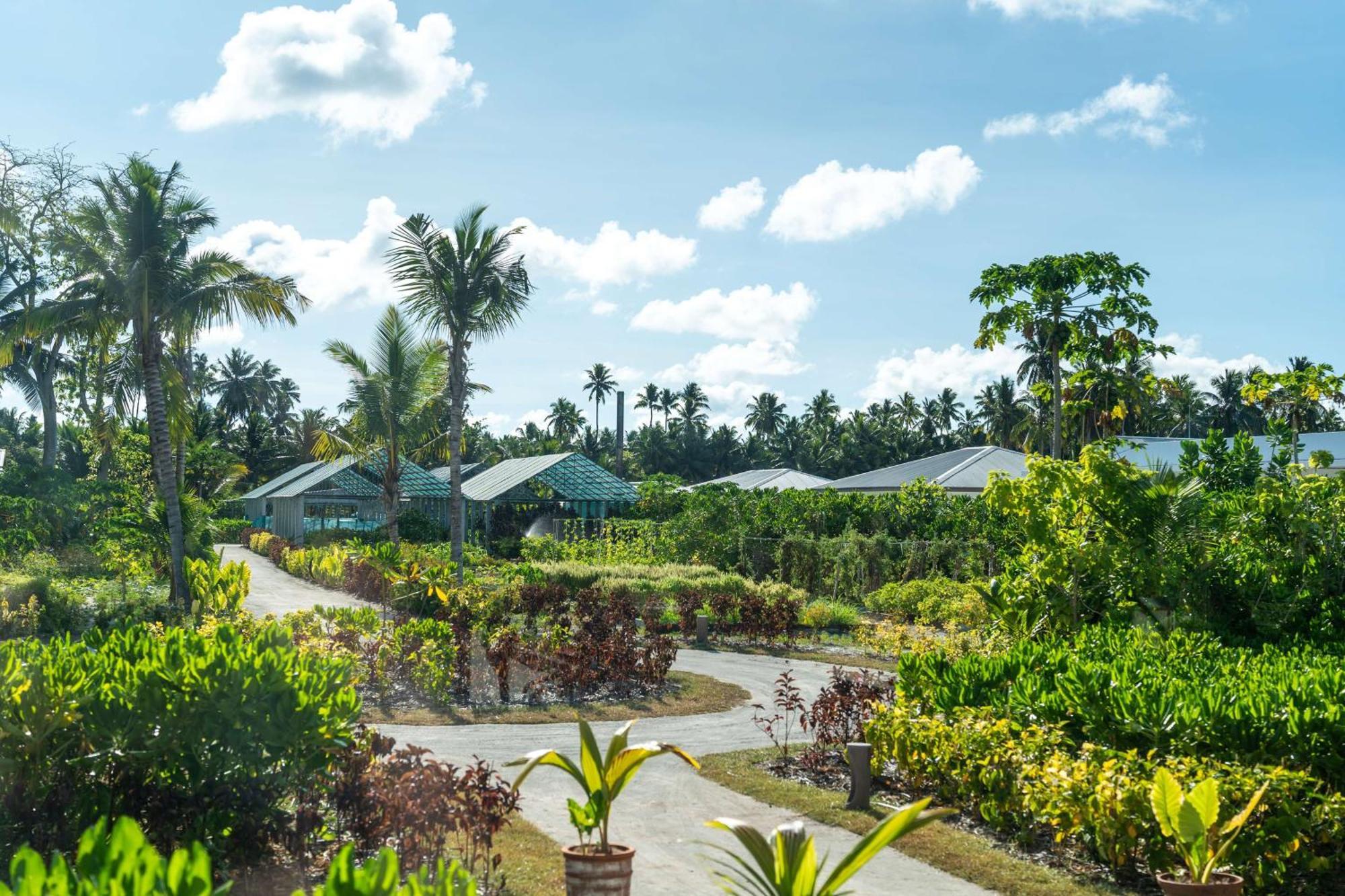 Waldorf Astoria Seychelles Platte Island Hotel Exterior photo